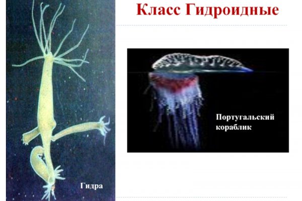 Кракен это даркнет