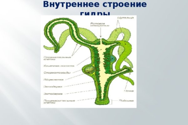 Даркнет ссылка