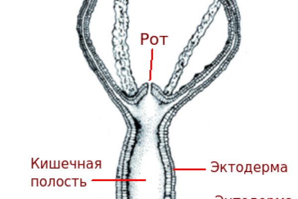 Зайти на сайт кракен